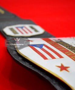 WWC Puerto Rico JR. Heavyweight Wrestling Championship Belt3