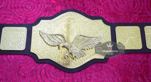 WWWF World Heavyweight Championship Belt3