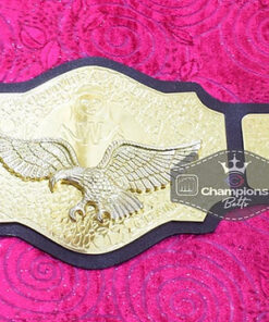 WWWF World Heavyweight Championship Belt4