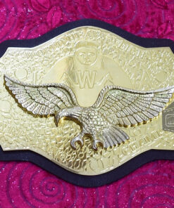 WWWF World Heavyweight Championship Beltw