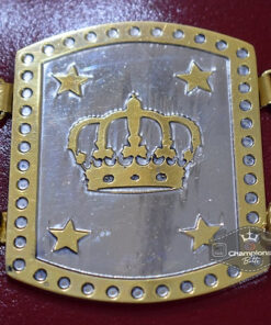 ALL Asia Wrestling Championship Belt