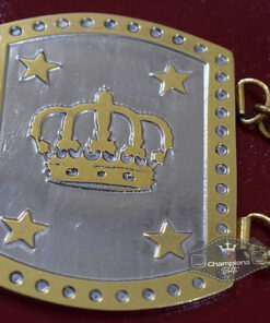 ALL Asia Wrestling Championship Belt