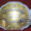 IWGP Intercontinental Wrestling Championship Belt