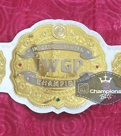 IWGP Intercontinental Wrestling Championship Belt