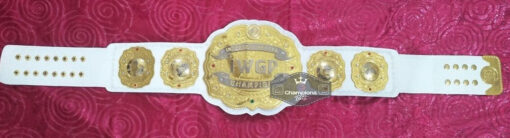 IWGP Intercontinental Wrestling Championship Belt