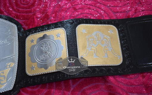 NWA National Tag Team Championship Title Belt