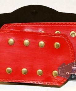 NWA New Red Wrestling Championship Belt