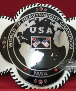 NWA World JR Wrestling Championship Belt