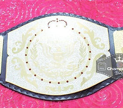 New WWF Junior Wrestling Championship Belt