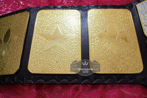 New WWF Junior Wrestling Championship Belt