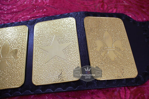 New WWF Junior Wrestling Championship Belt