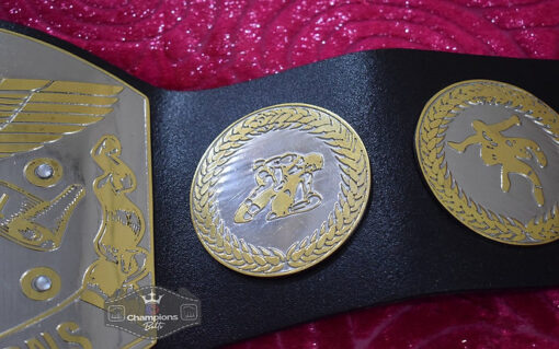 Old School International Tag Team Championship Belt