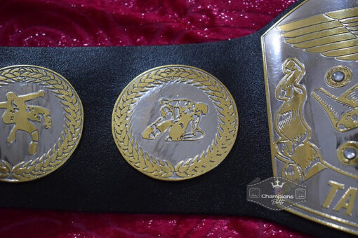 Old School International Tag Team Championship Belt