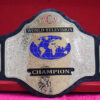 WCW World Television Wrestling Championship Belt