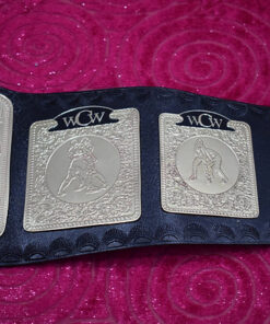 WCW World Television Wrestling Championship Belt